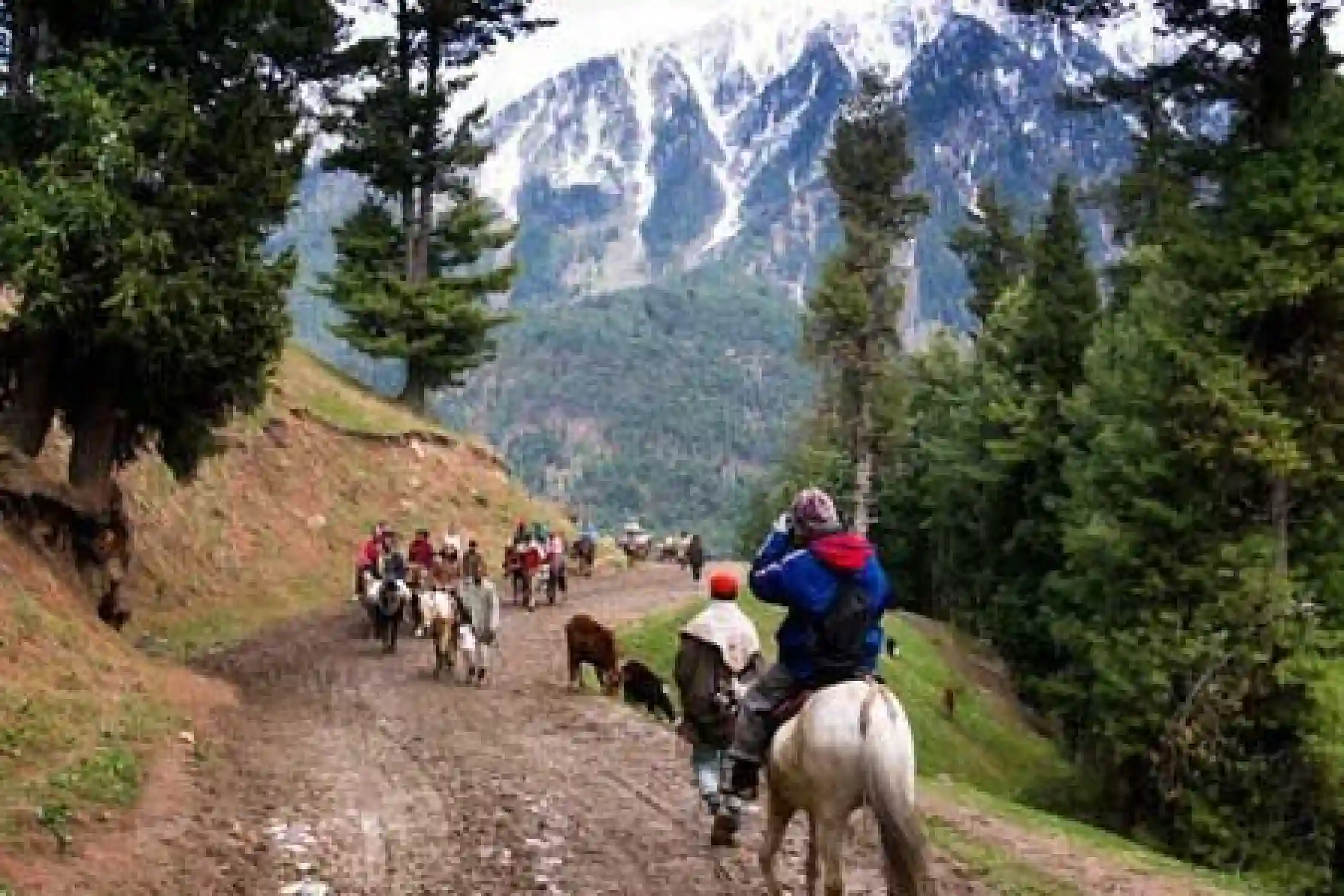 Kullu Manali Tour Package by Flight