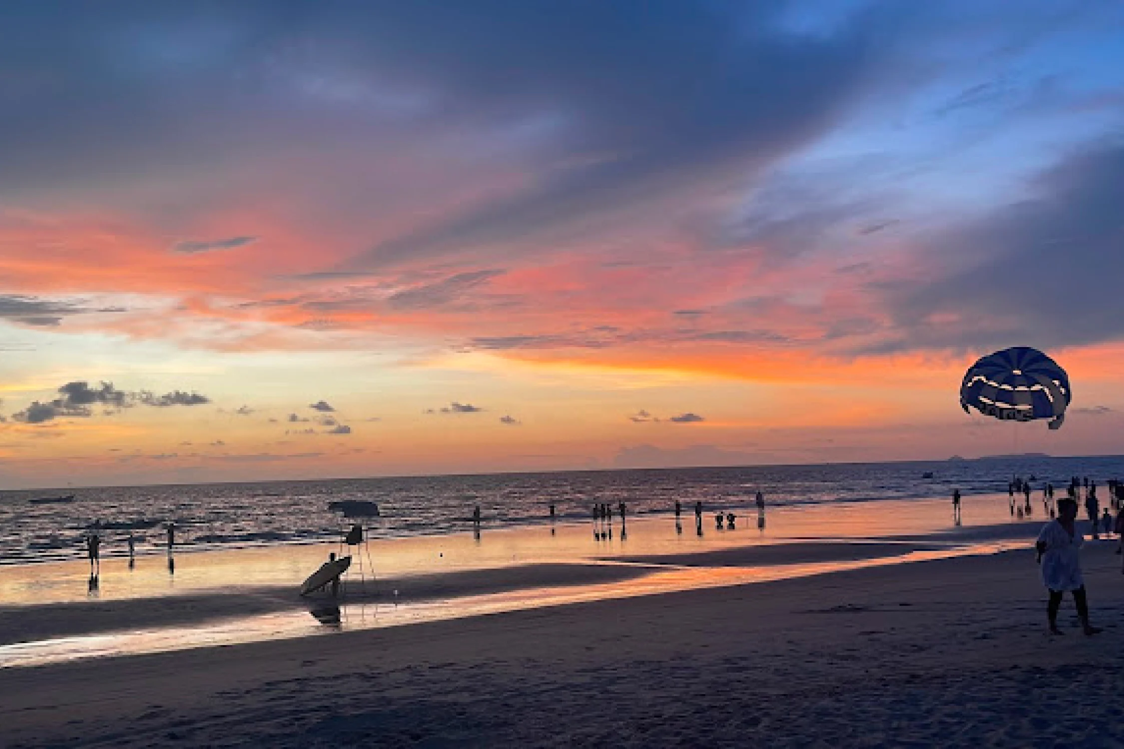 Benaulim Beach Dolphin Tour