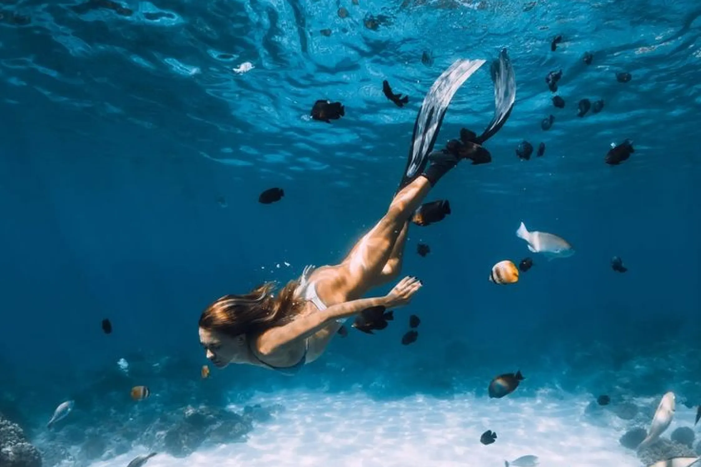 Snorkeling in Dandi Beach Malvan