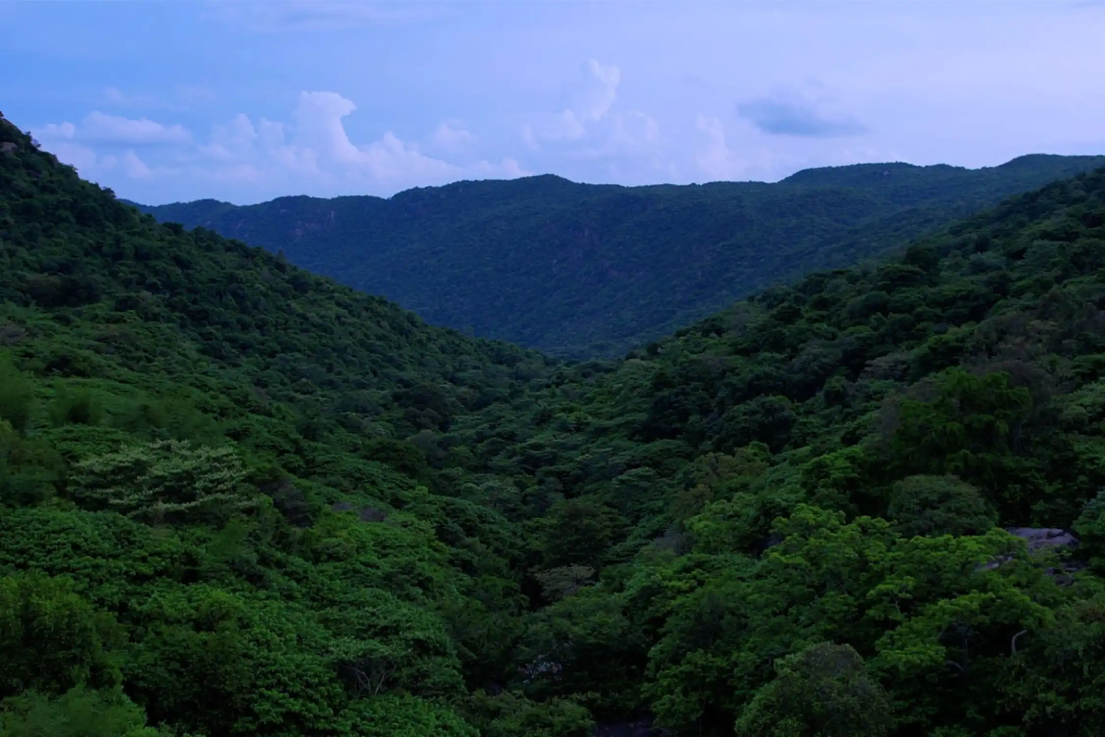 Trek to Jalagamparai