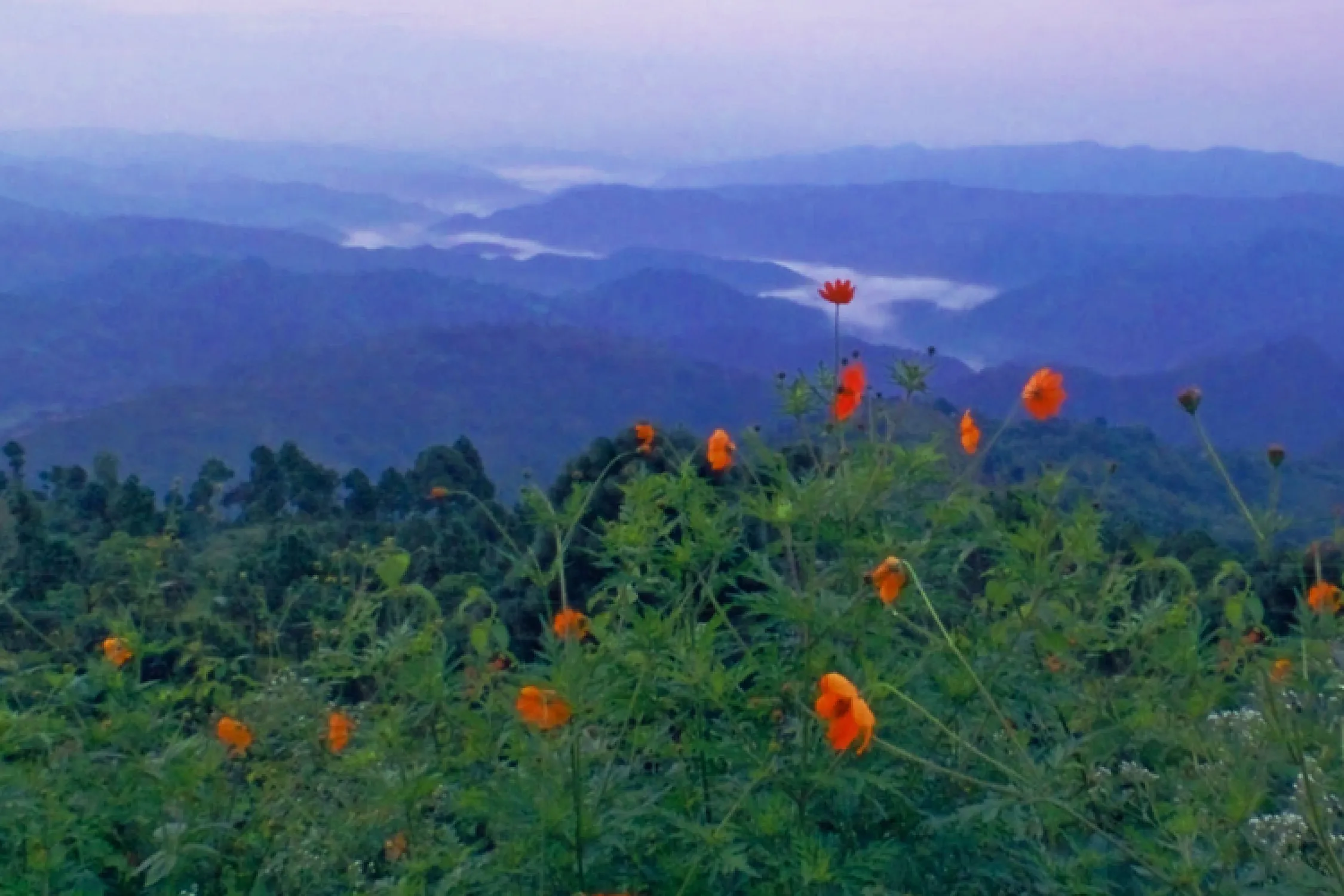 Haridwar to Lansdowne Sightseeing Trip