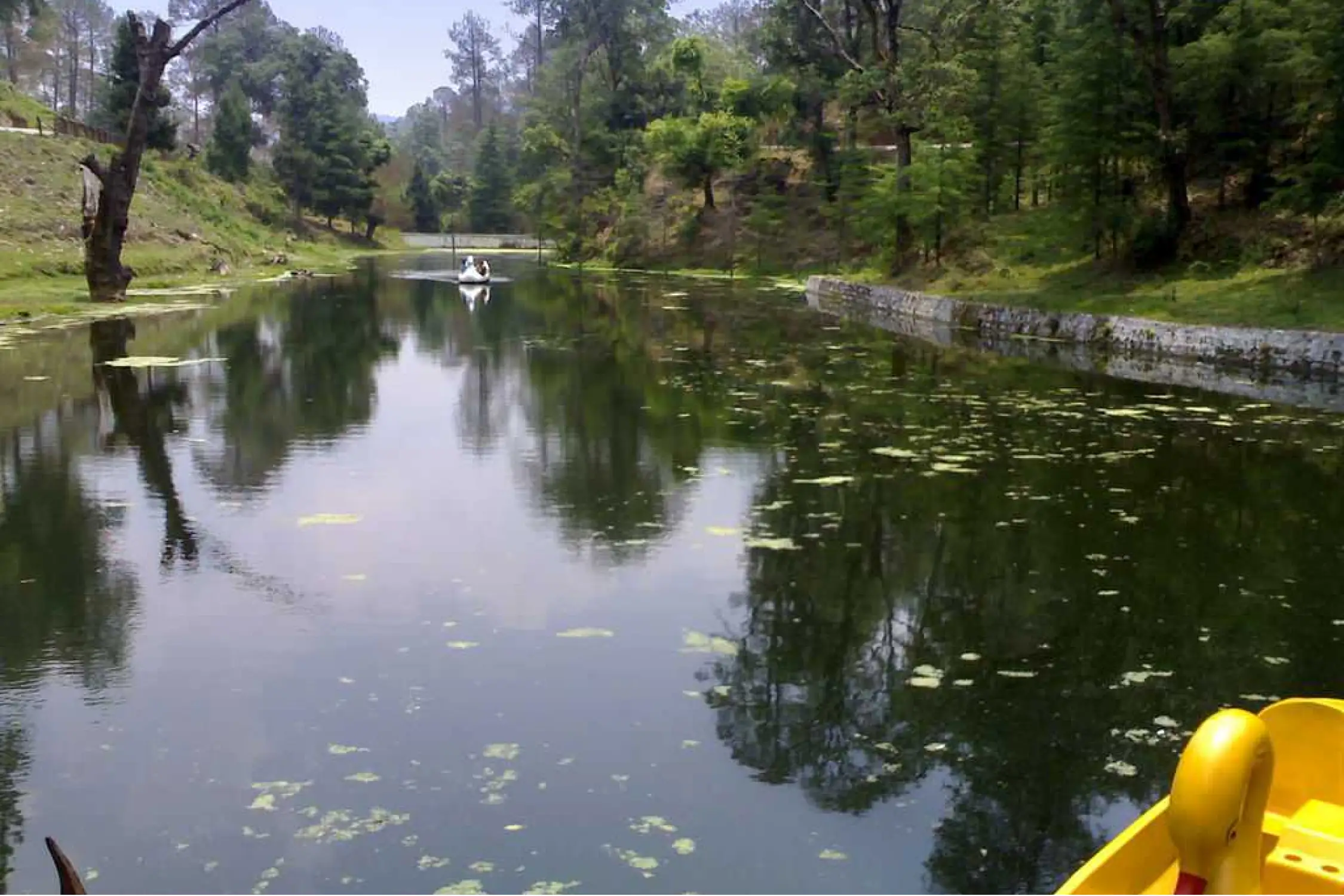 Nainital to Ranikhet One Day Tour Package