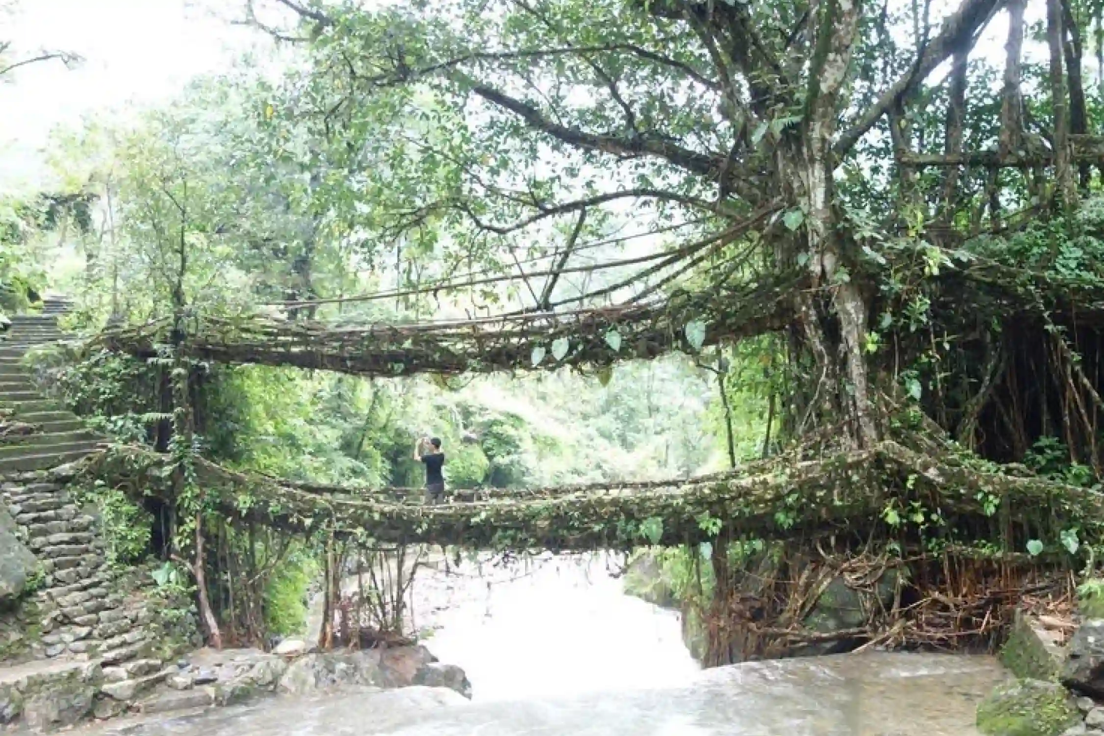 One Day Guwahati to Double Decker Bridge Sightseeing Trip