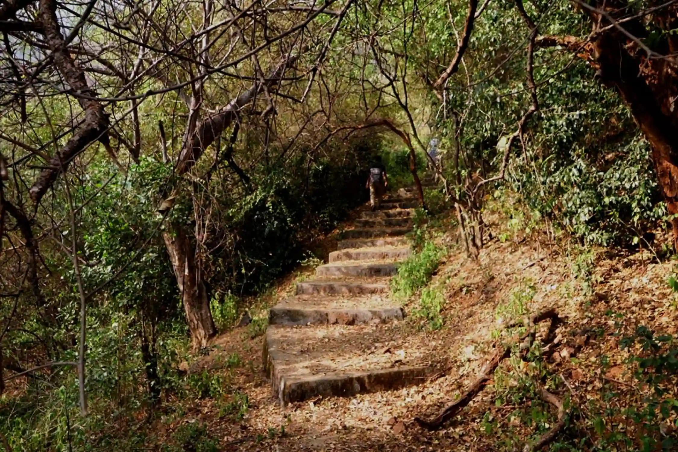 Kutladampatti Falls Trek