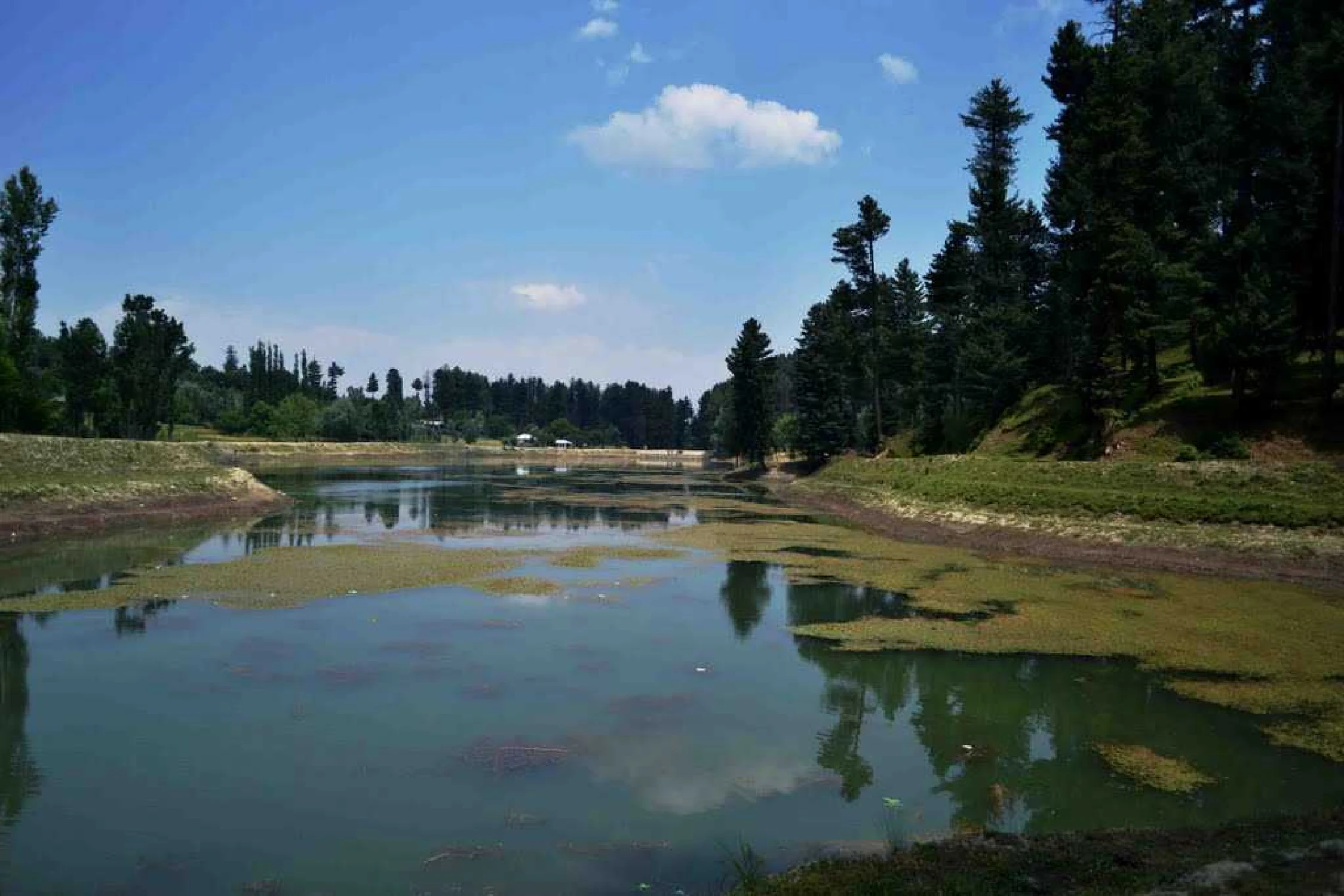 One Day Srinagar to Yusmarg Sightseeing Trip