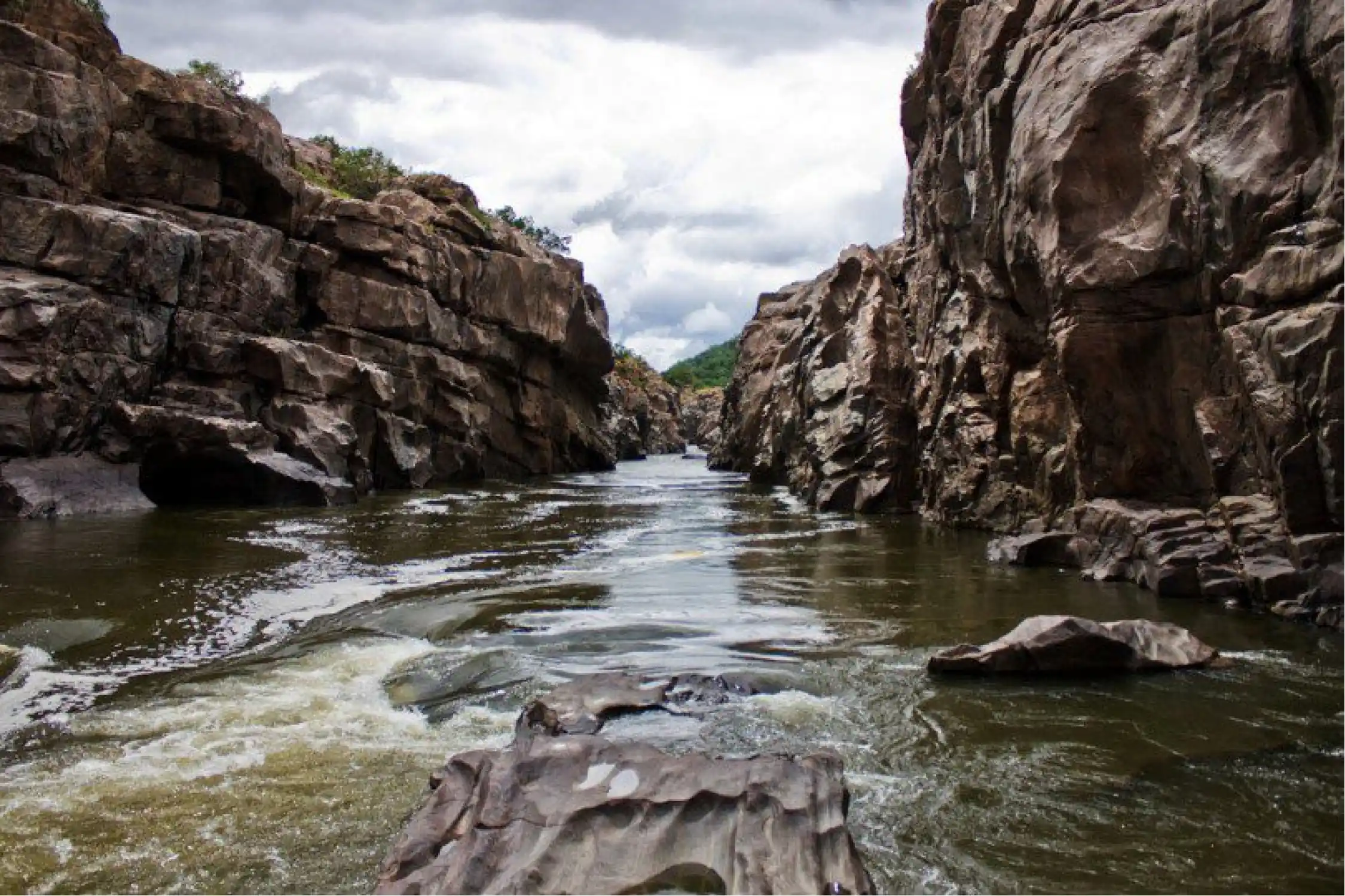 Mekedatu and Chunchi Falls Day Trip from Bangalore