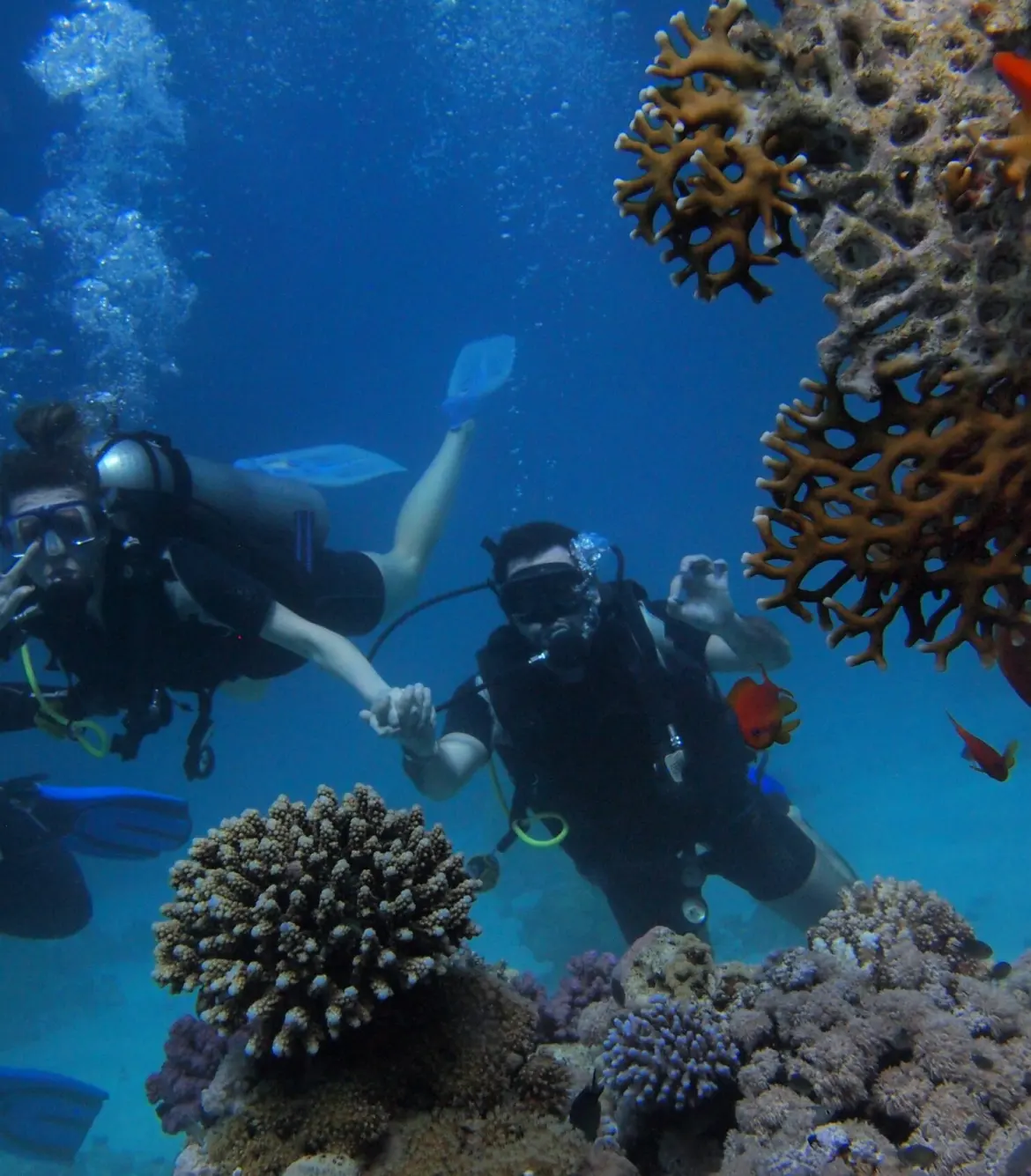 Kavaratti Island Scuba Diving