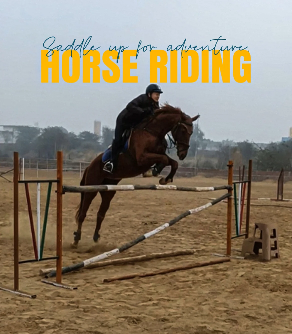 Passion Horse Riding Club Gurgaon