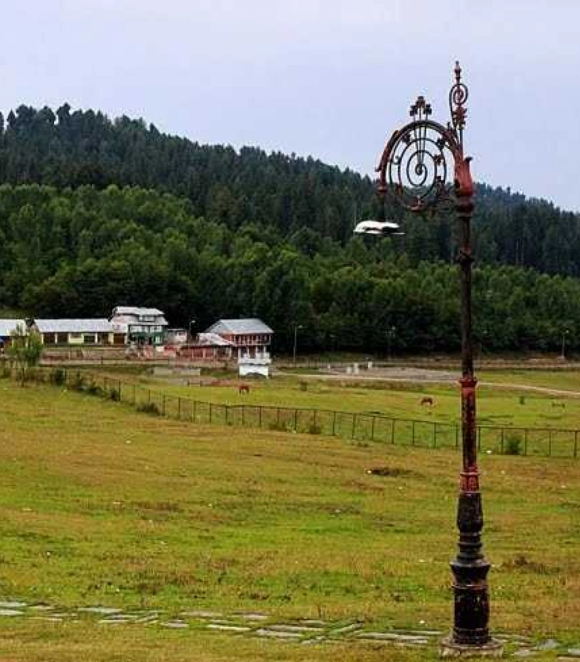 One Day Srinagar to Yusmarg Sightseeing Trip