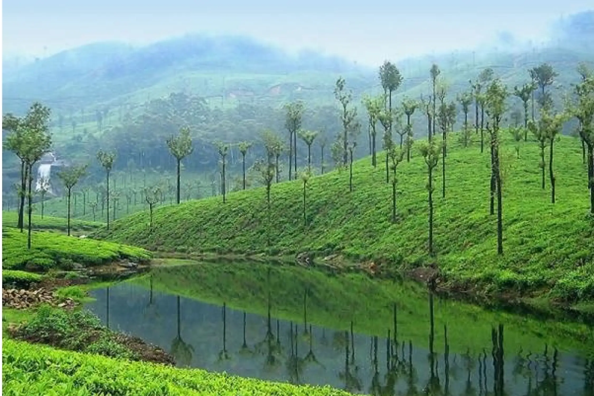 One Day Coimbatore to Pollachi and Valparai Trip