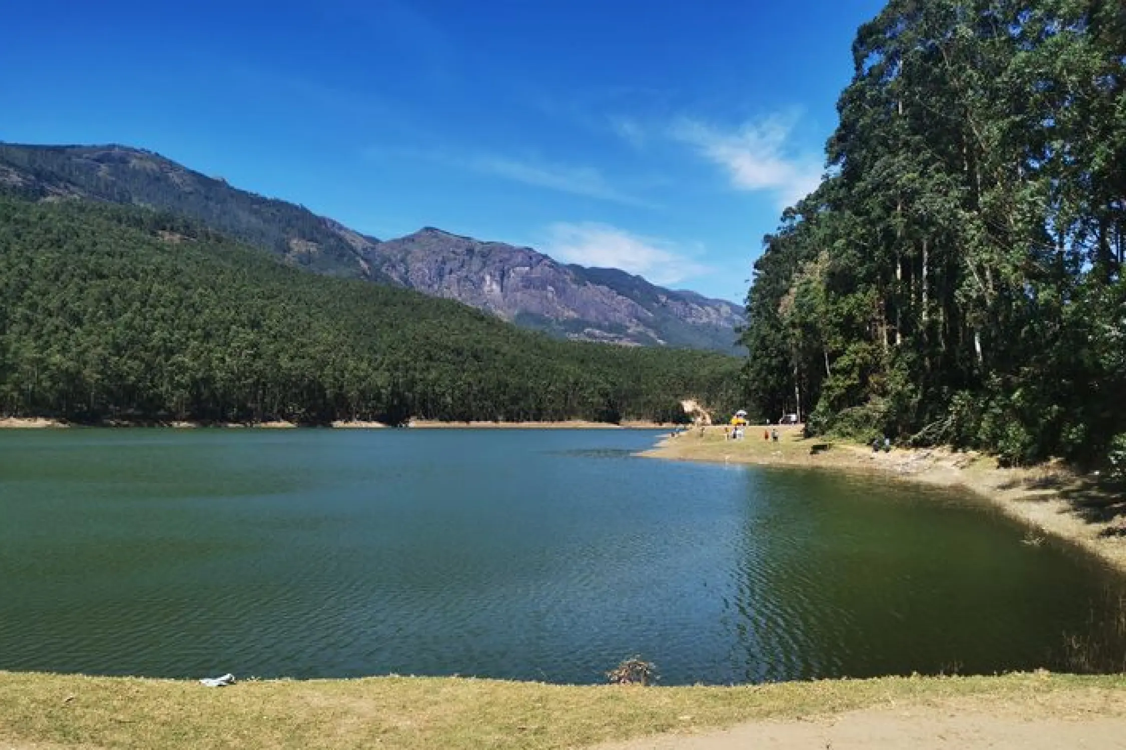 One Day Madurai to Munnar Trip