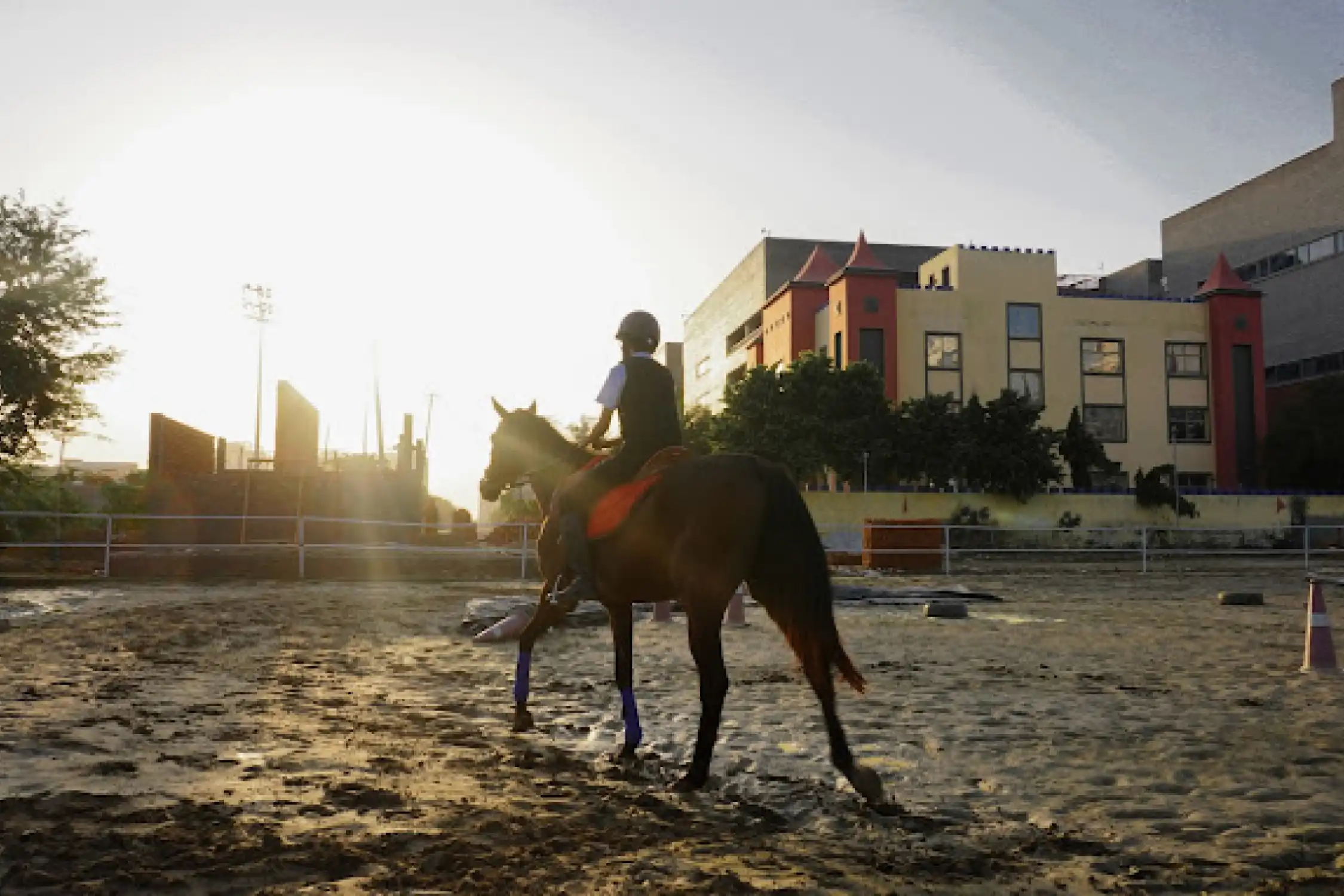 Horse Riding in Faridabad