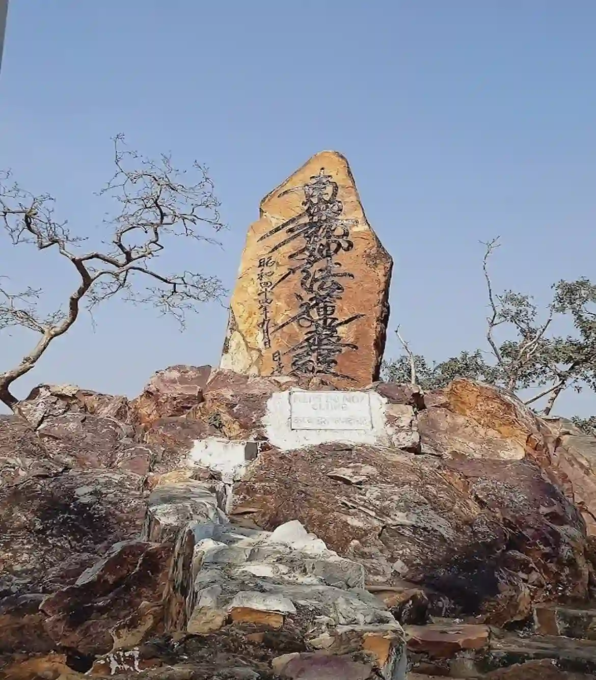 Full Day Nalanda Rajgir Tour Package