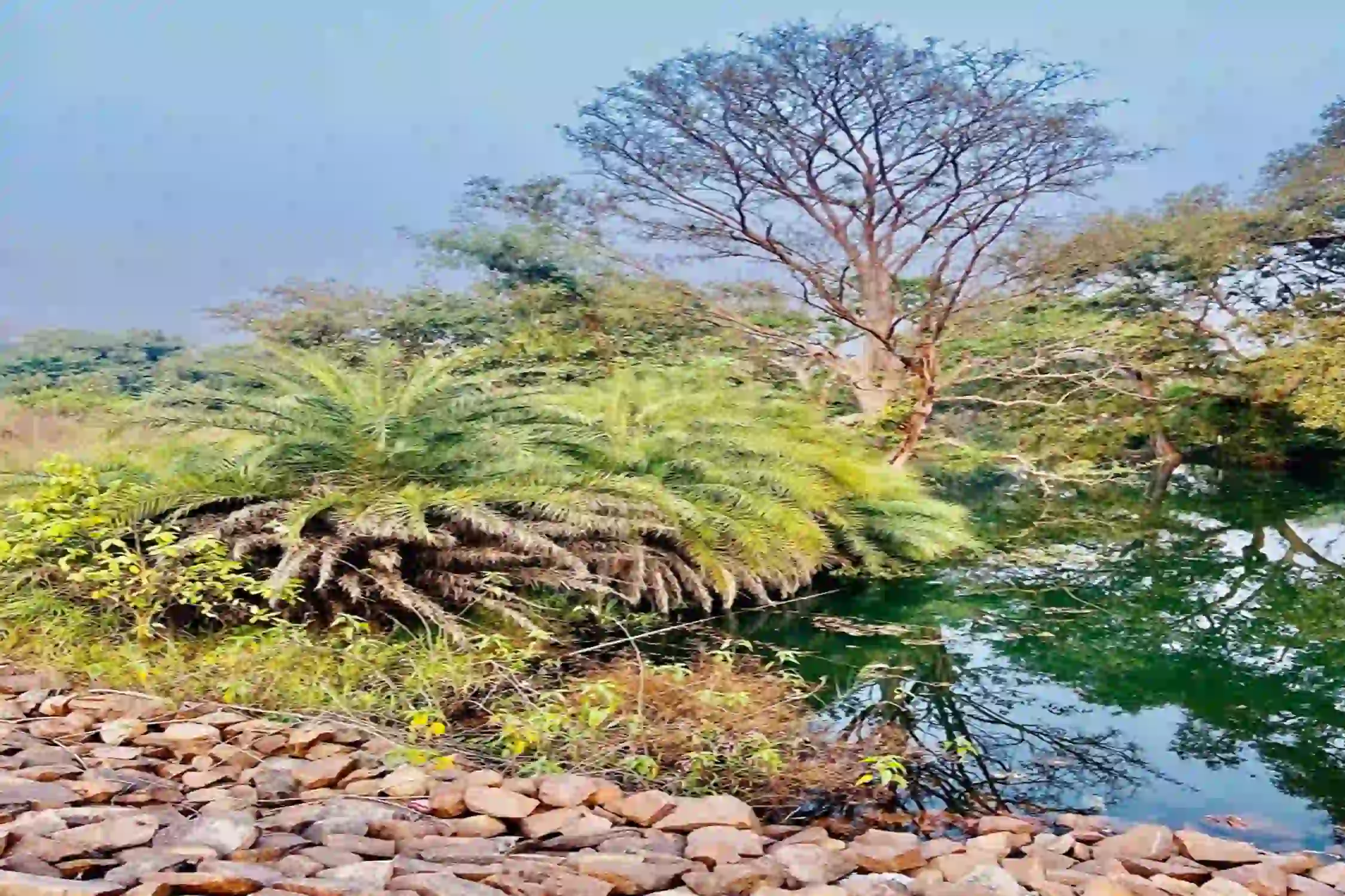 Bilaspur to Gandhi Udyan Park One Day Trip