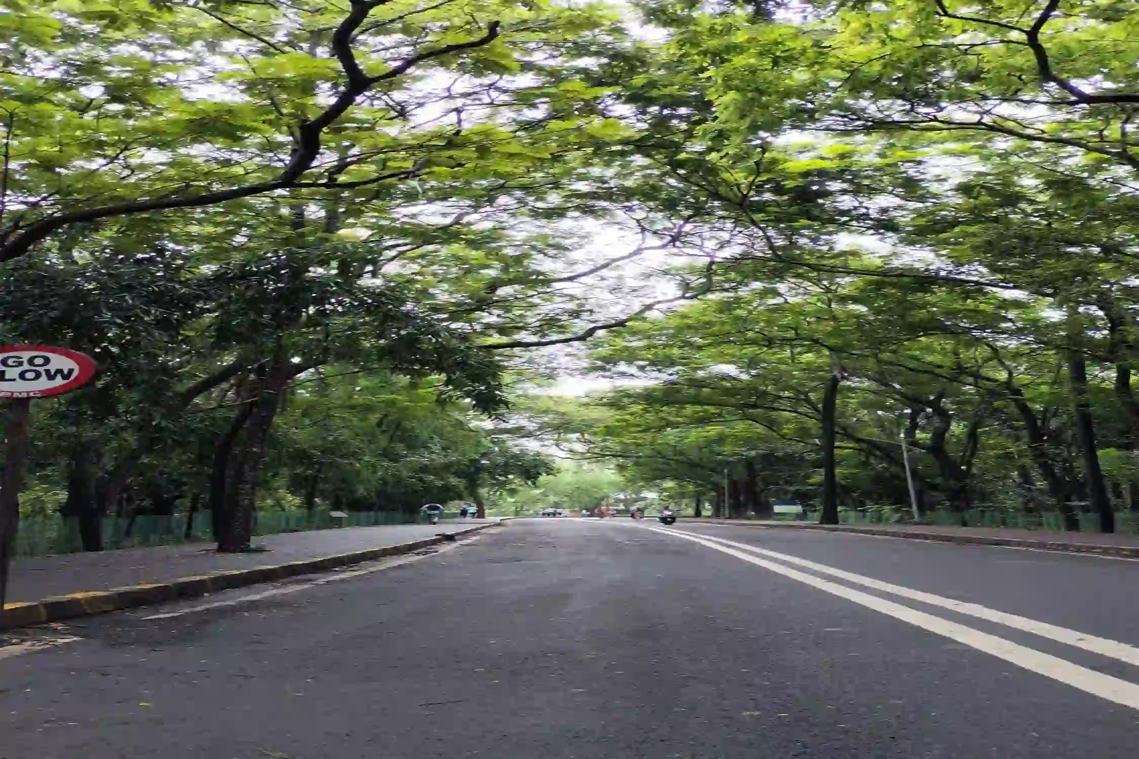 Bilaspur to Gandhi Udyan Park One Day Trip