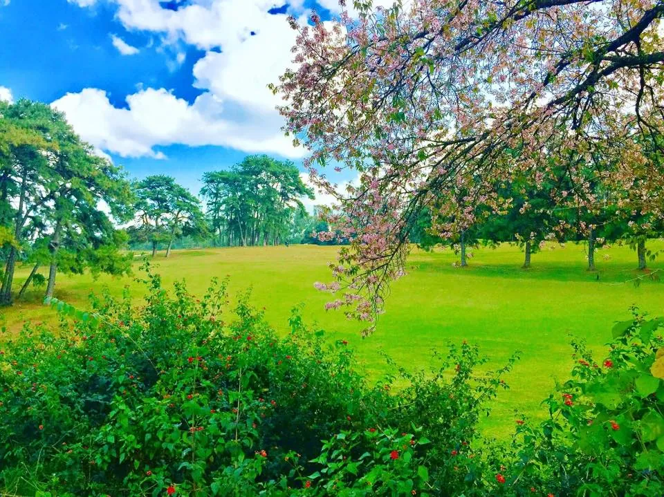 Meghalaya Budget Trip