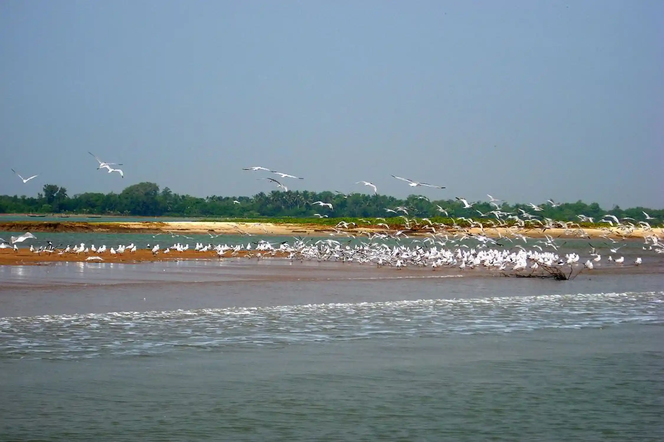 Golden Triangle with Natural Tour of Odisha
