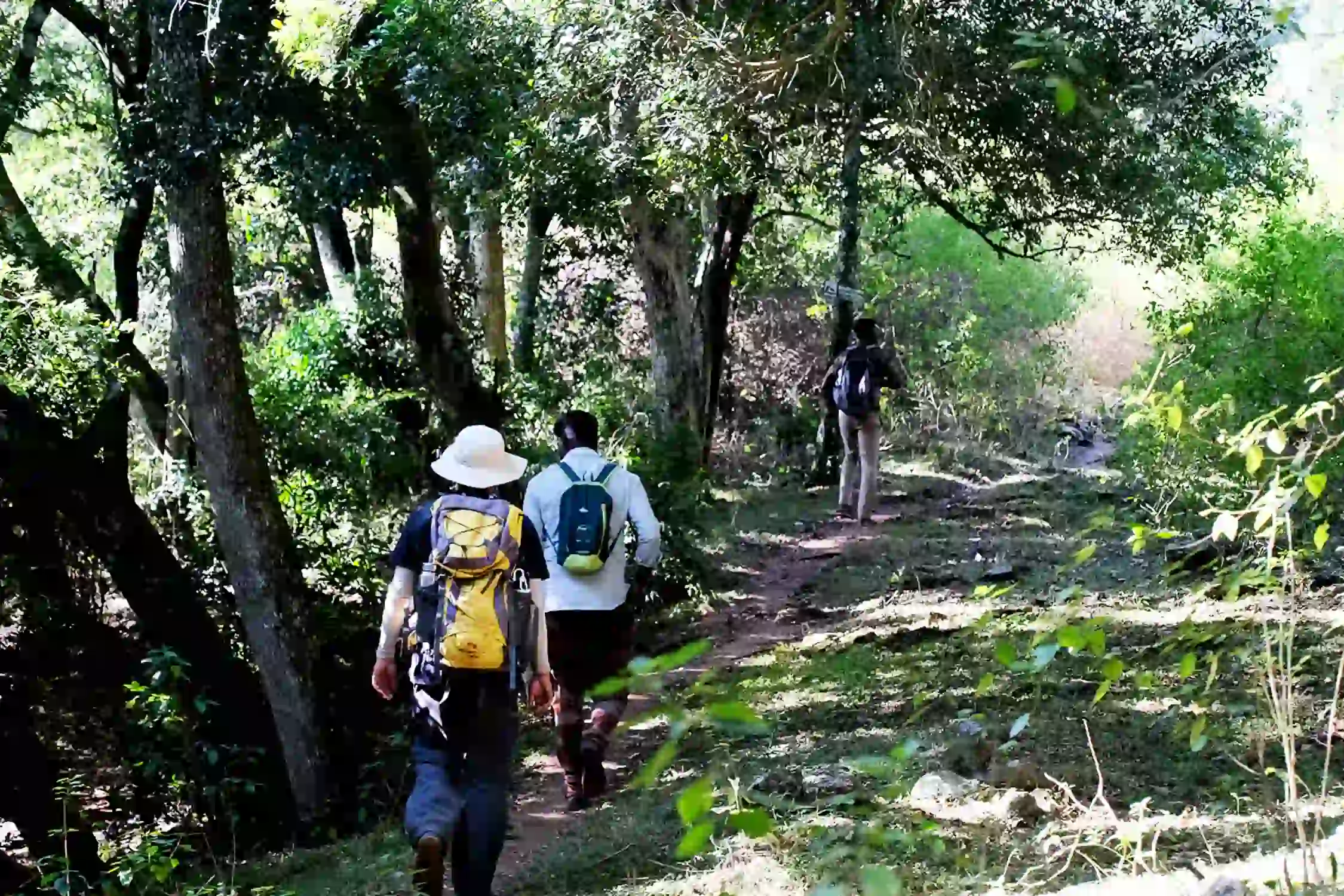 Guthirayan Peak Trek