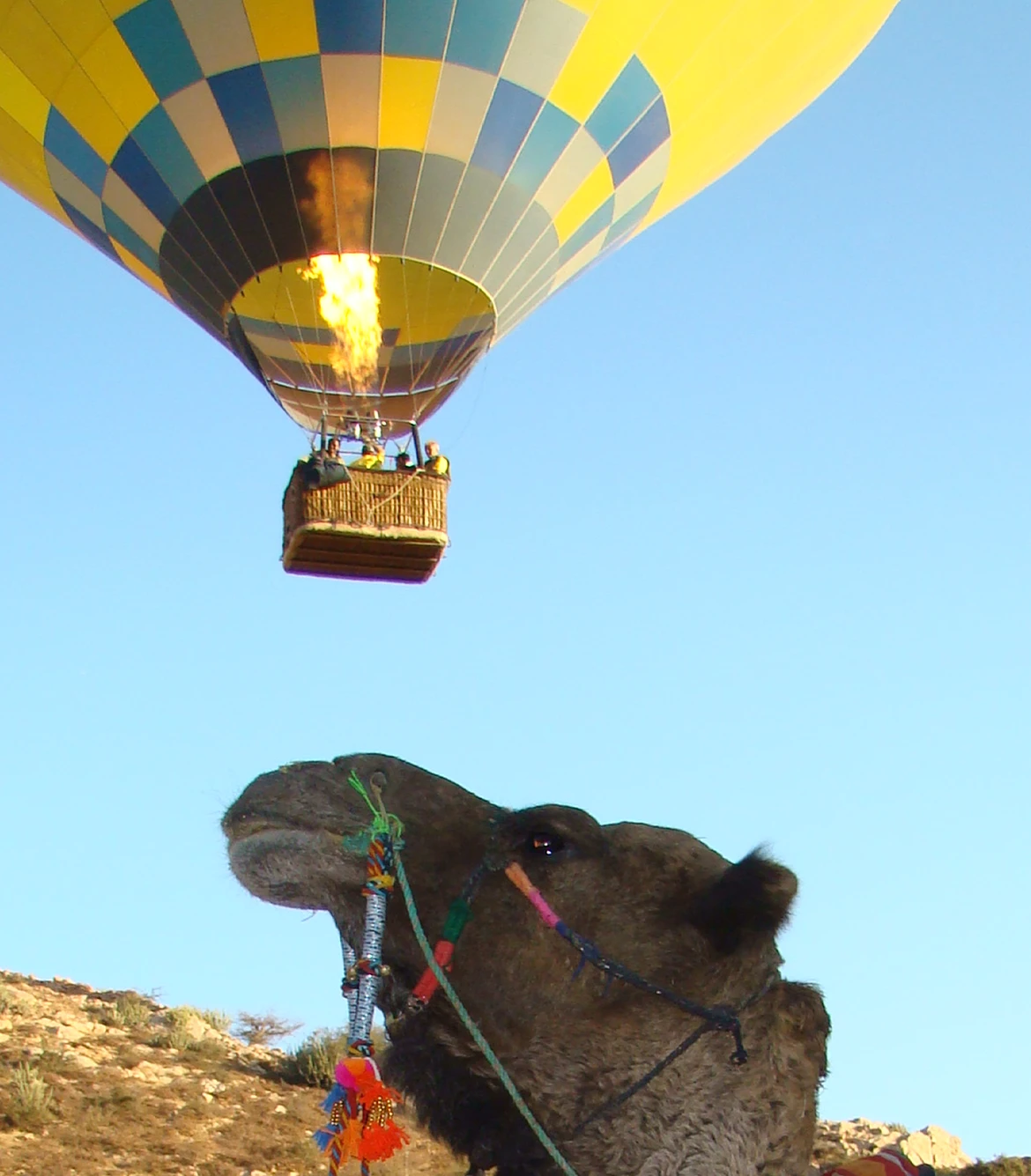 Hot Air Balloon in Jaipur