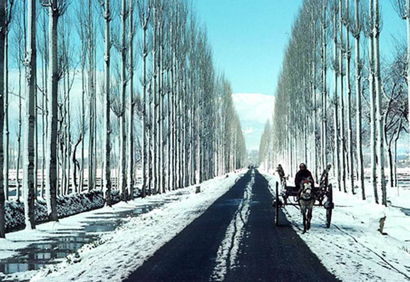 Best of Romantic Kashmir Valley