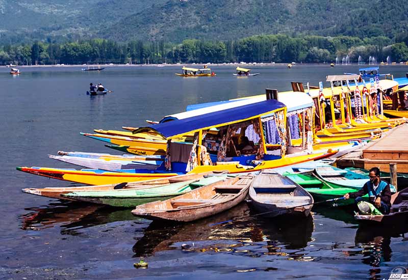 Glimpse of Srinagar Tour Package with Gulmarg