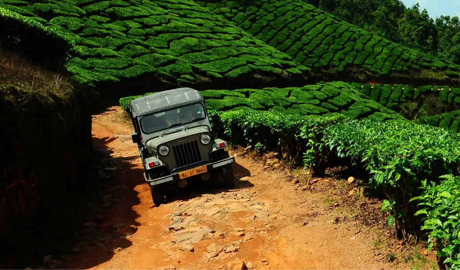 Jeep Safari Munnar