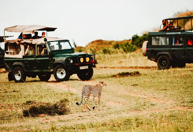 Mishmi Hill Camp Safari