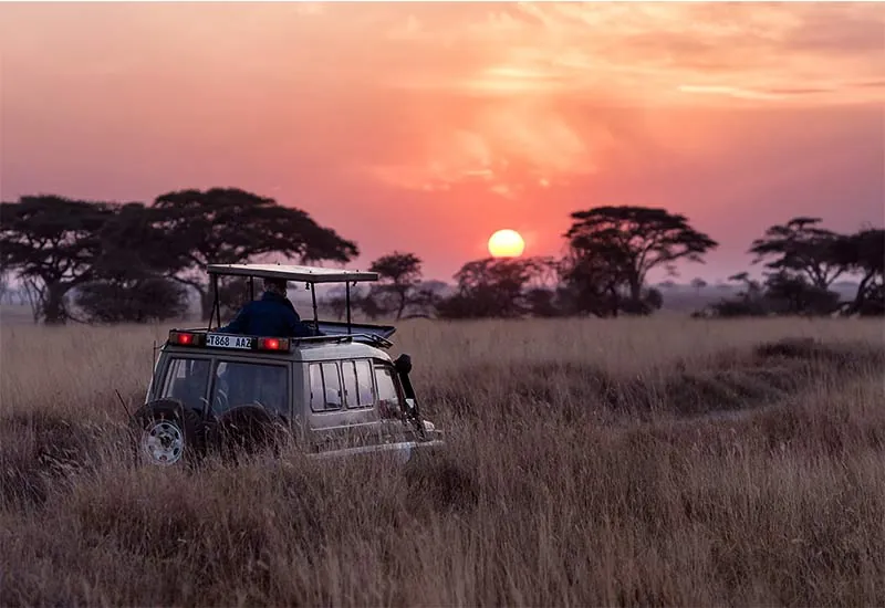 Jeep Safari Tour of Kaziranga National Park, Guwahati