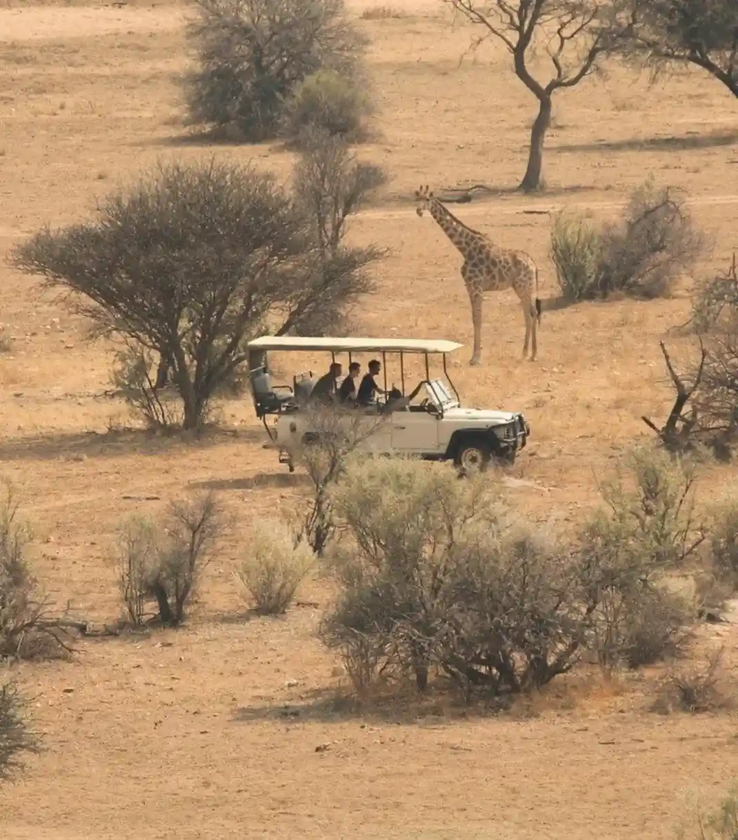 Jungle Safari at Nauradehi Wildlife Sanctuary