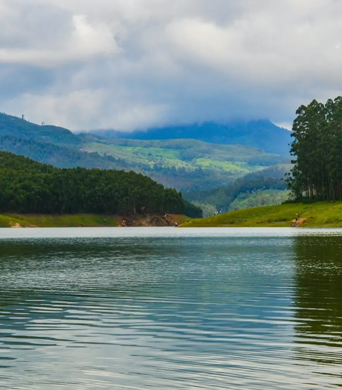 One Day Kochi to Munnar Trip