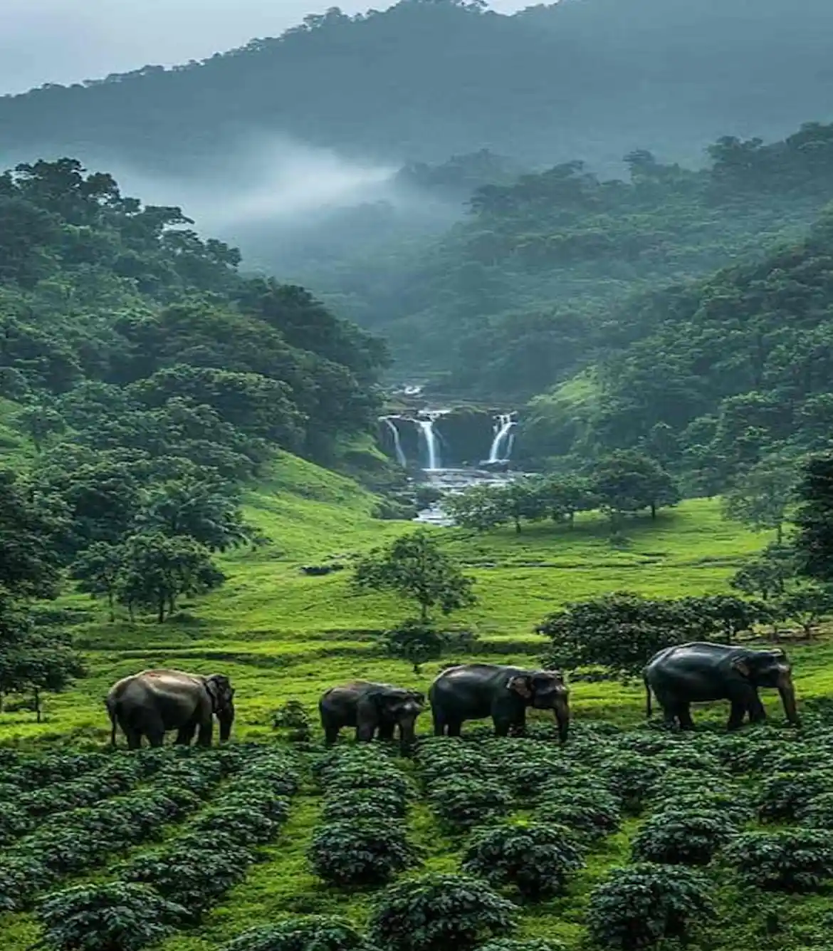 Kerala Group Tour Packages 2025