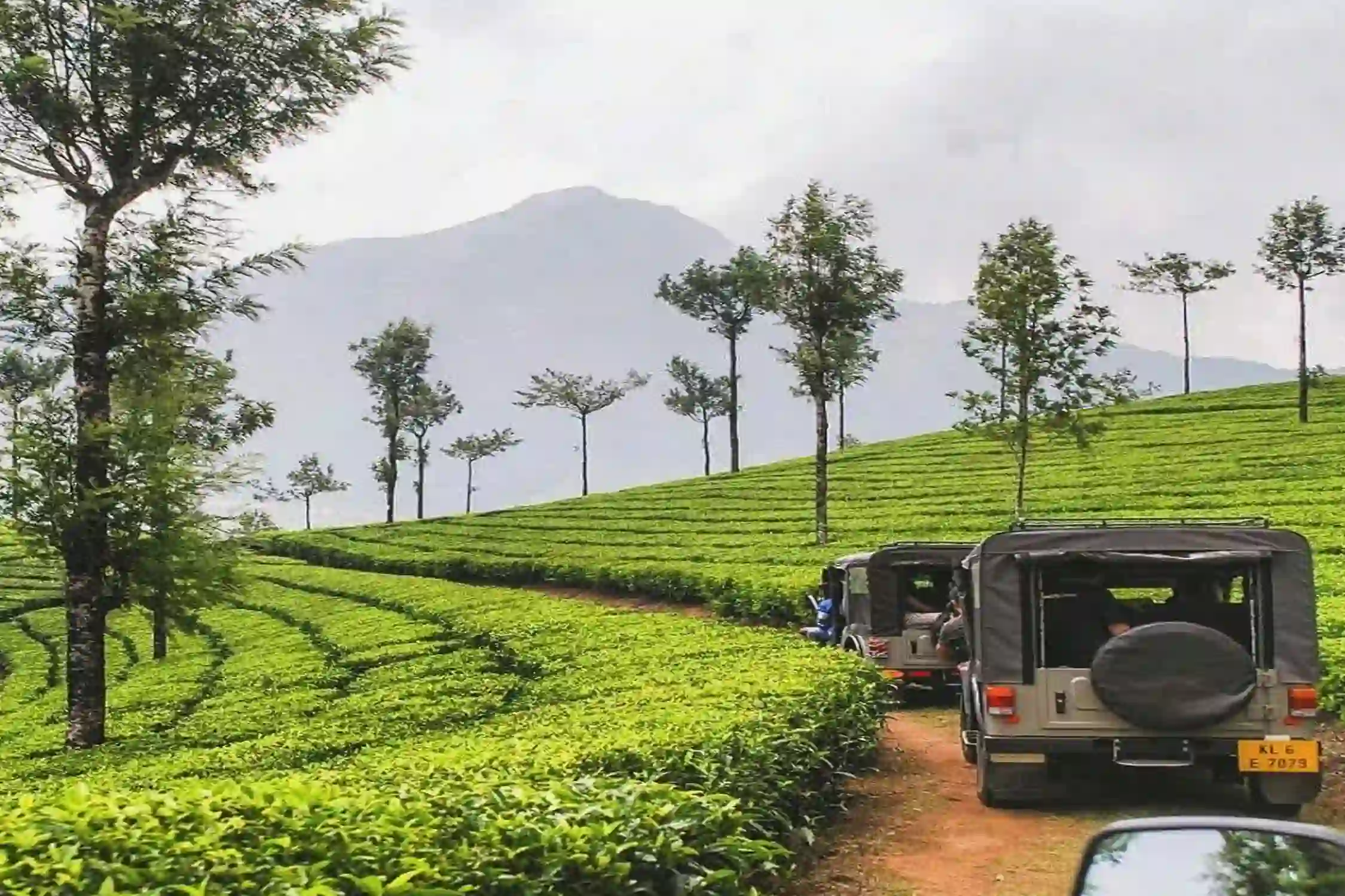 Kerala Group Tour Packages 2025