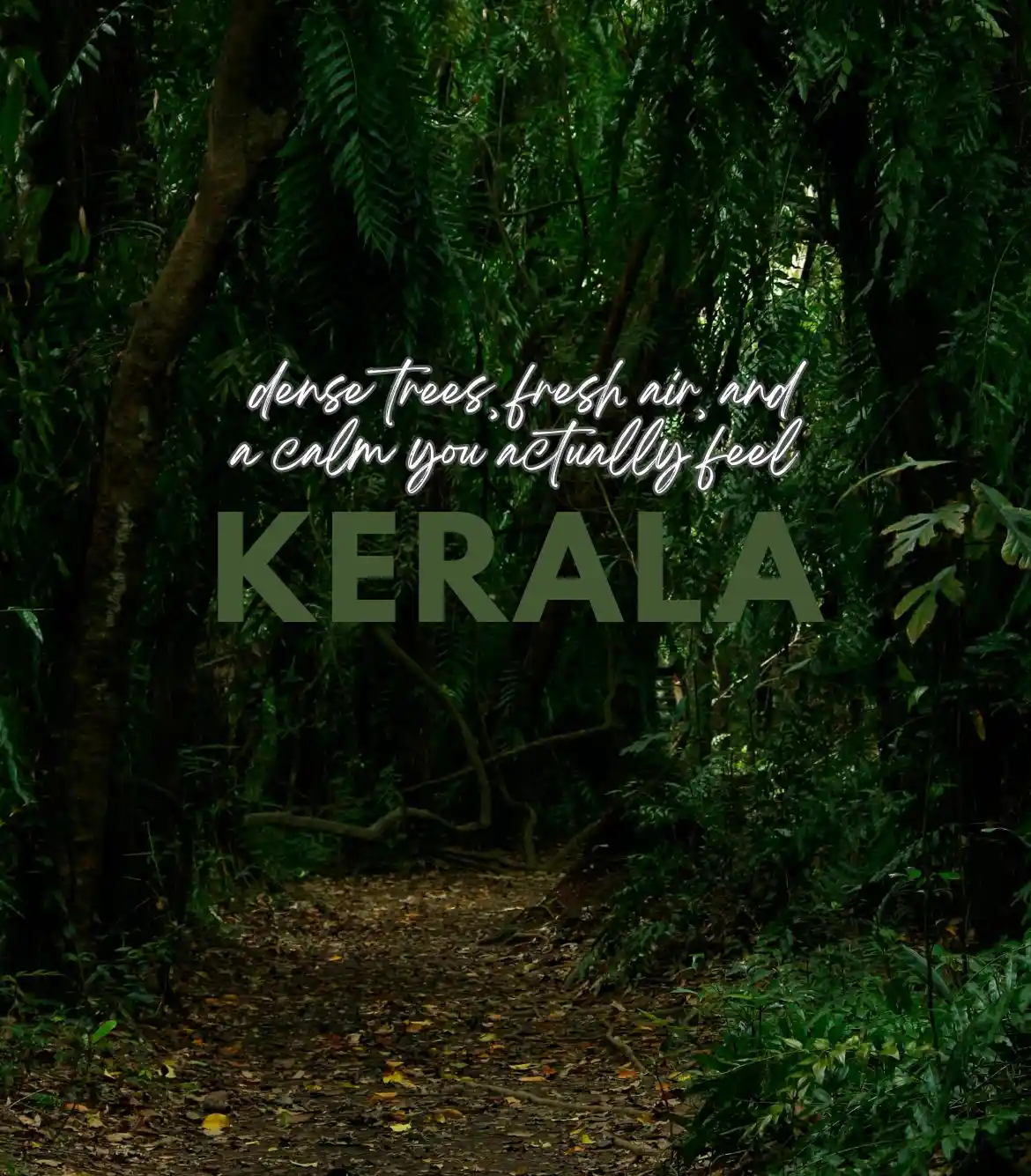 5 Days Kerala Tour Package