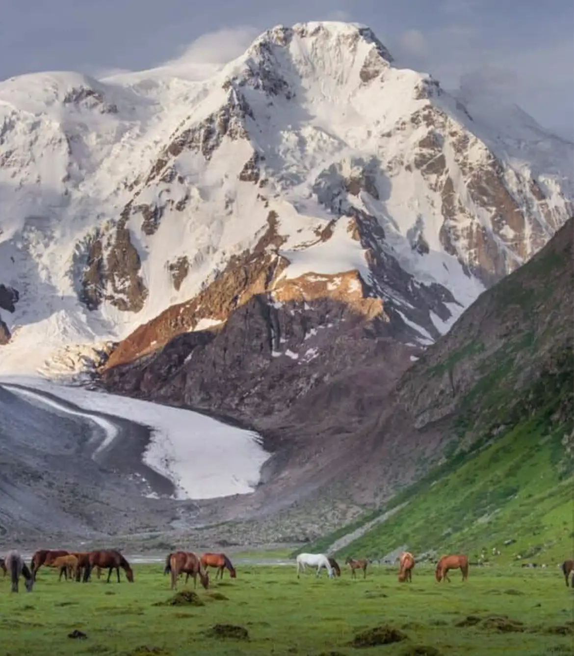 One Day Srinagar to Khilanmarg Sightseeing Trip