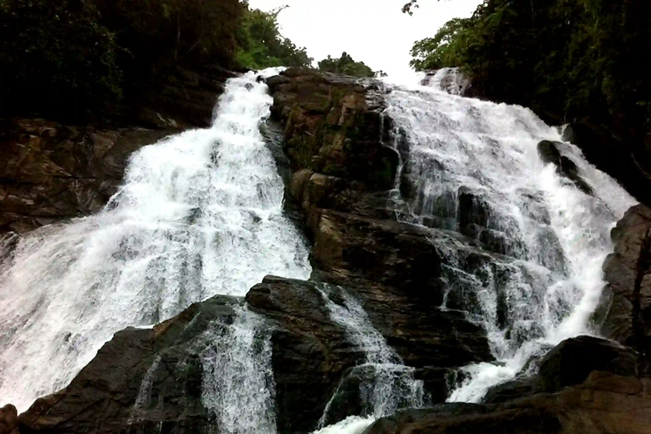 One Day Kochi to Athirappali Waterfalls Trip