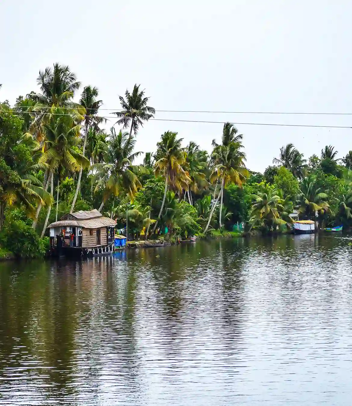 One Day Kochi to Kumarakom Trip