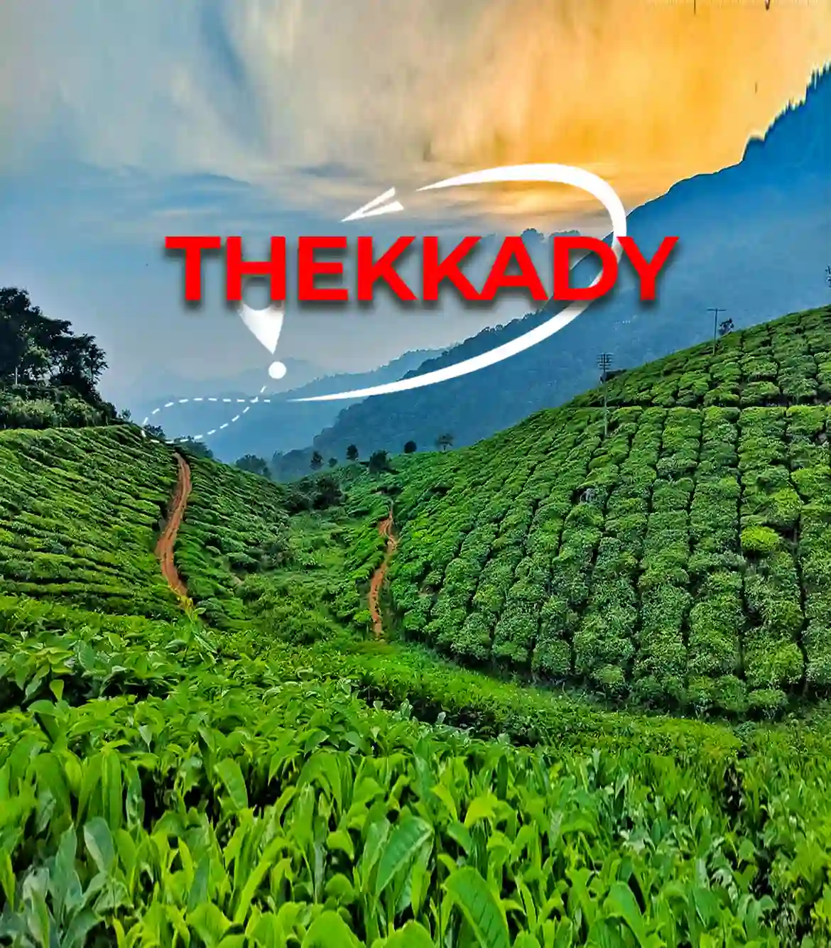 One Day Kochi to Thekkady Trip