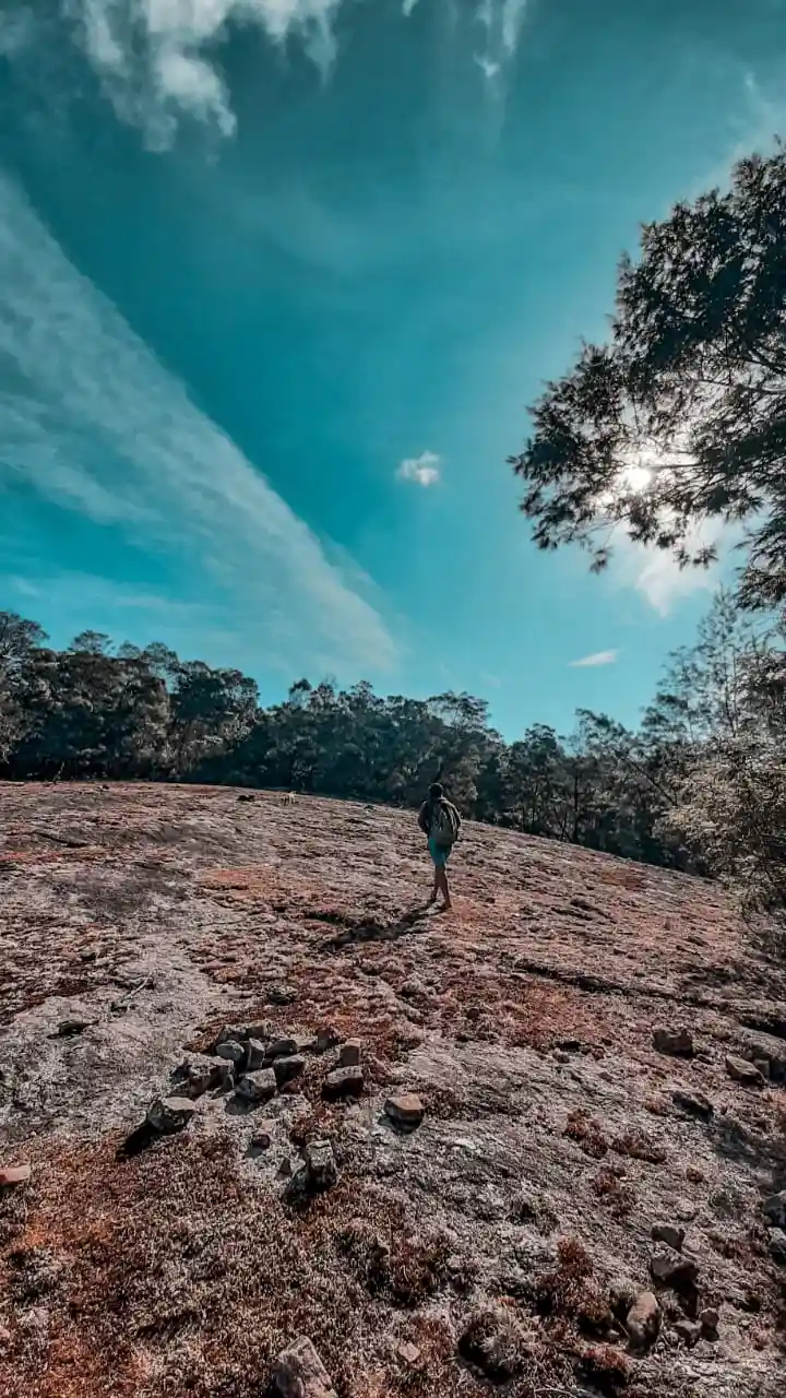 Hilltop Camping and Trekking in Kodaikanal