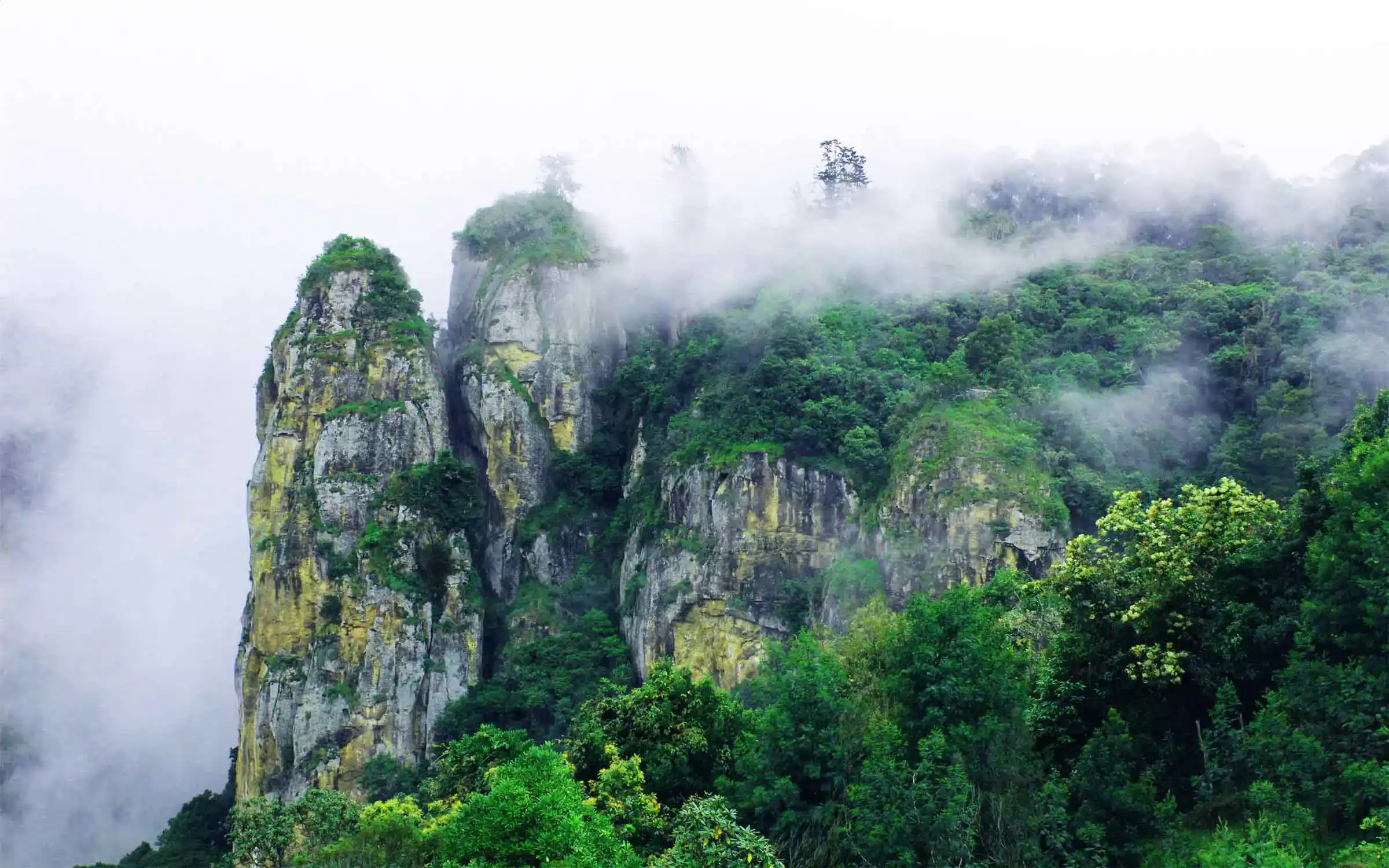 Kodaikanal Tour Package from Bangalore