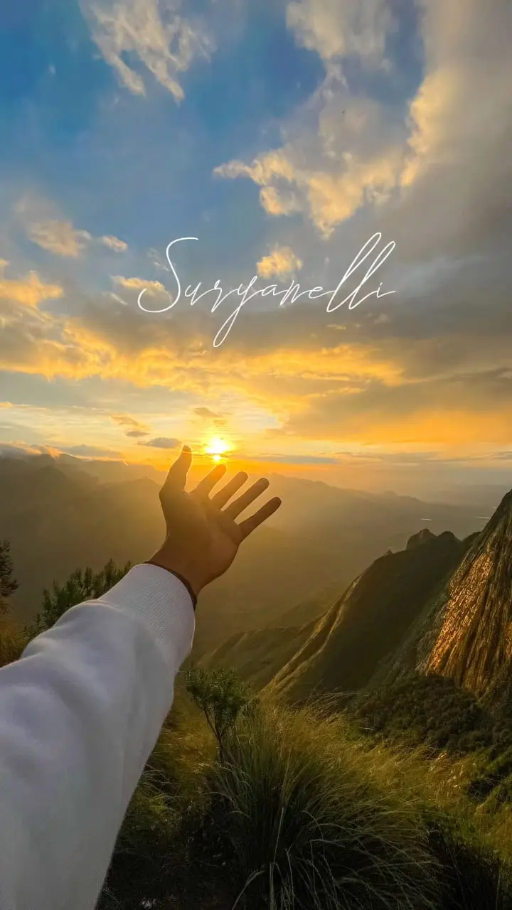 Kolukkumalai Trek & Camp