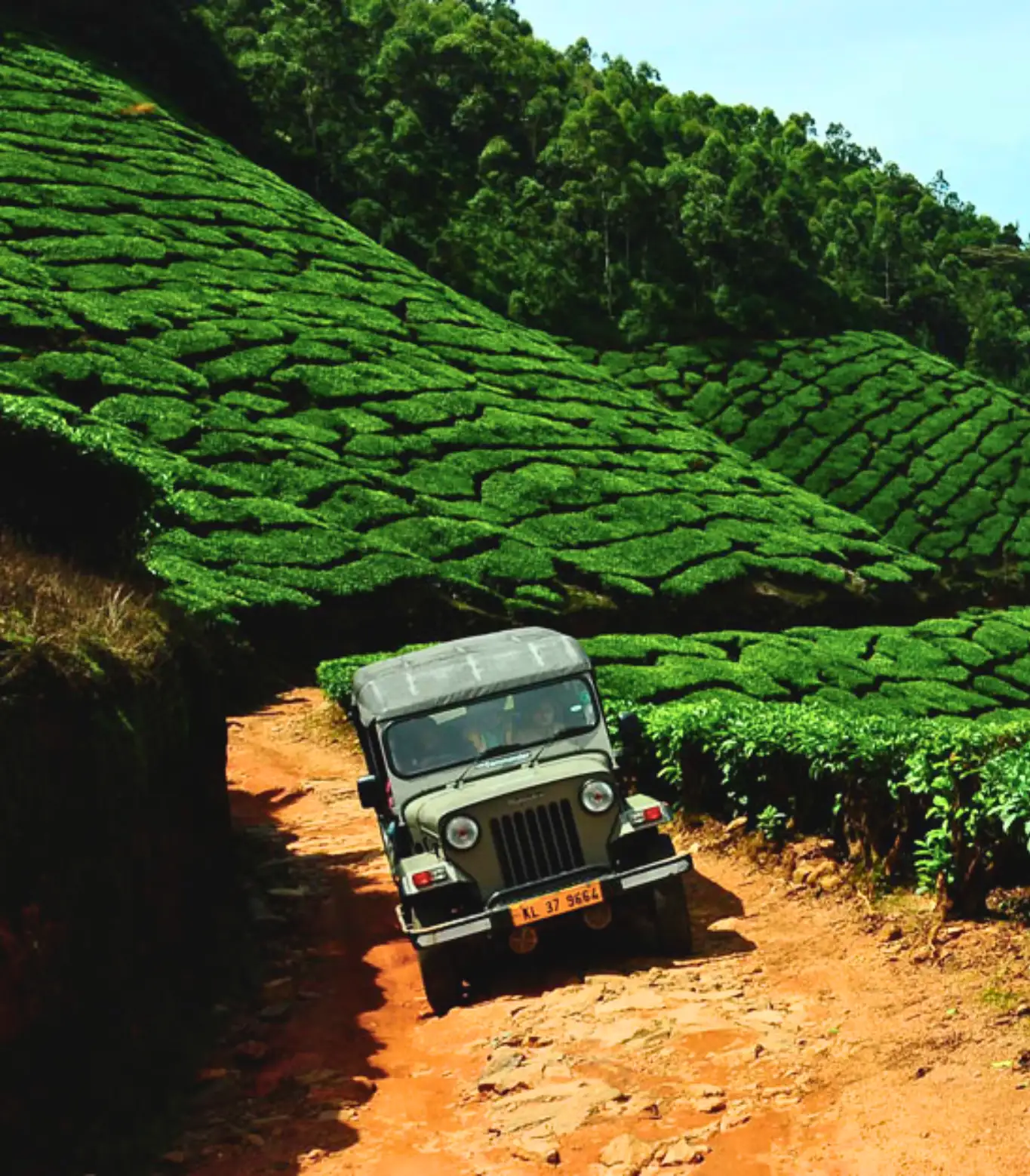 Kolukkumalai Jeep Safari