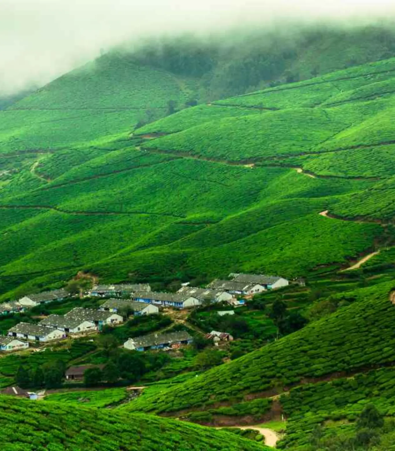 Kolukkumalai Jeep Safari