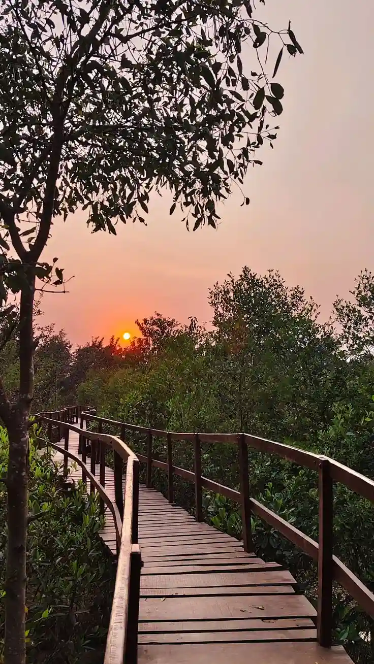 Golden Triangle with Bhitarkanika Tour Packages