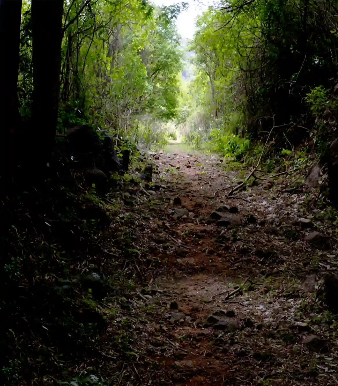 Kondappanaikanpatti Gundur Trek