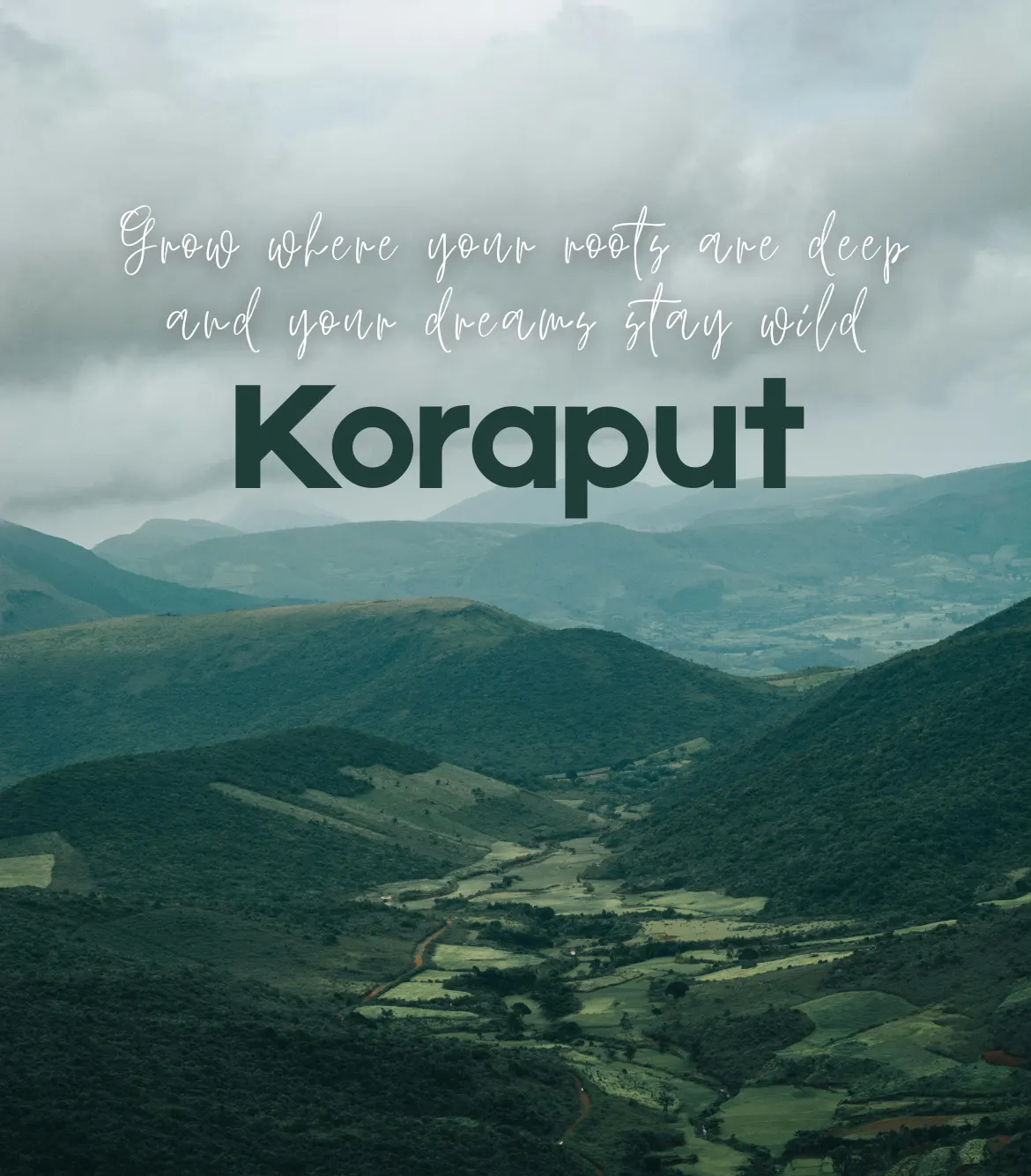 Koraput Tour Package from Bhubaneshwar