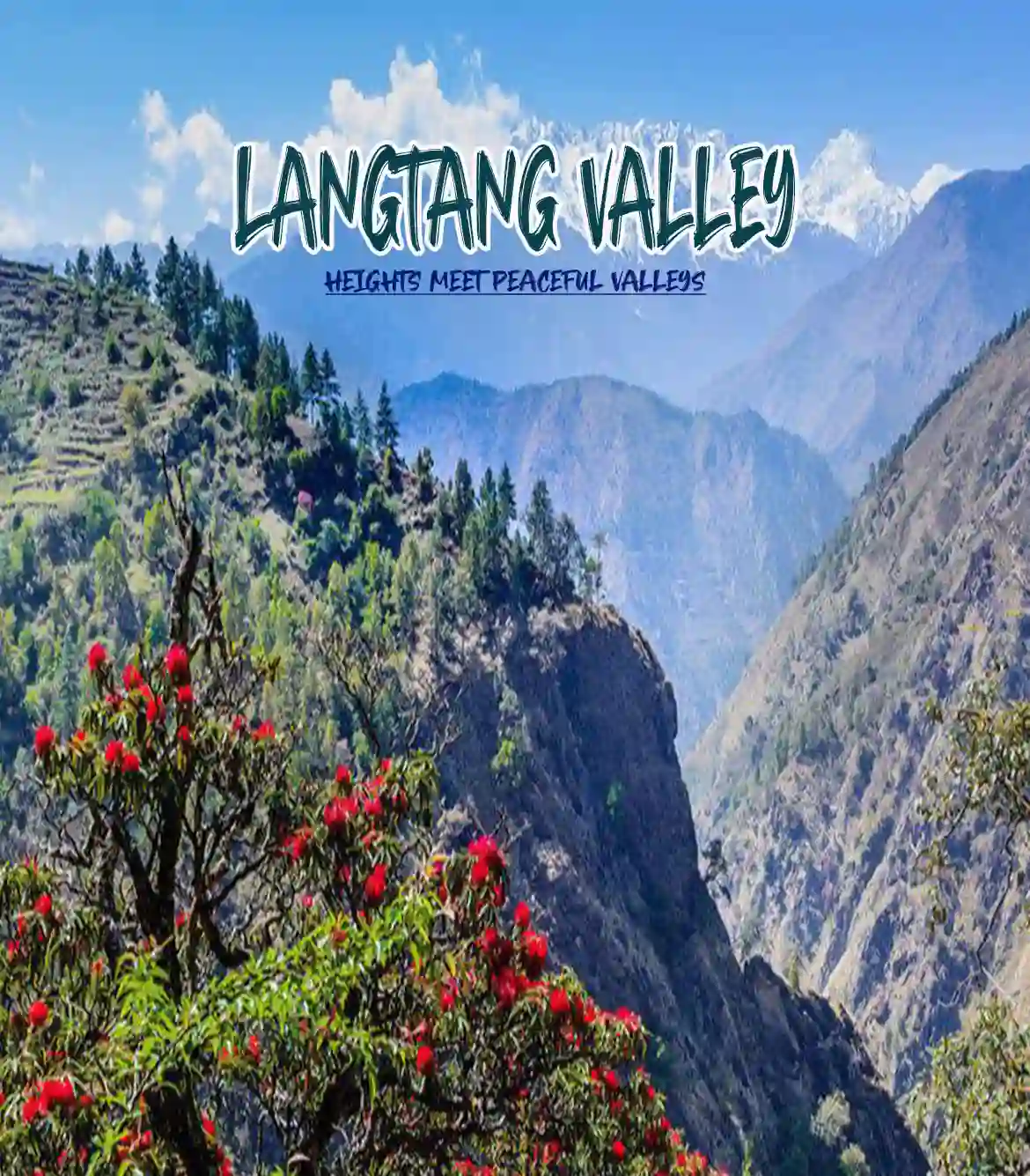 Langtang Valley Heli Tour