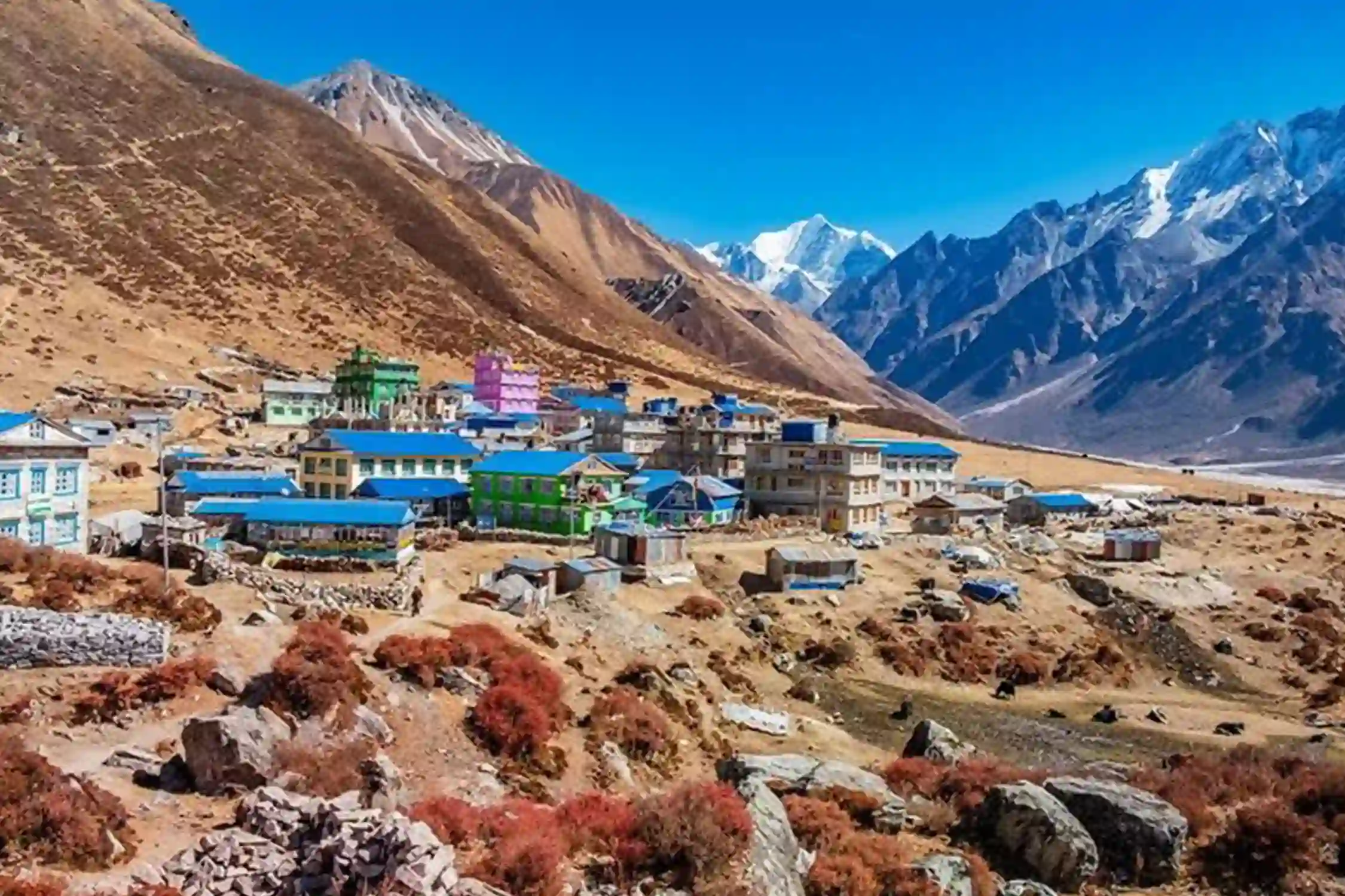 Langtang Valley Heli Tour