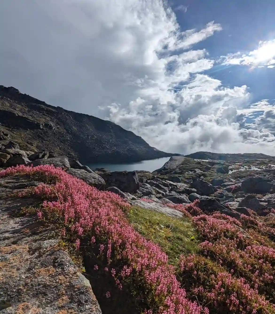 Langtang Valley Trek Nepal