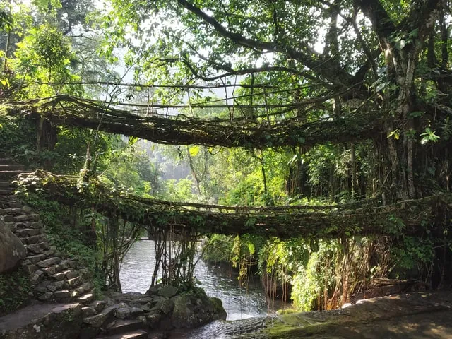Meghalaya Tour Packages from Pune