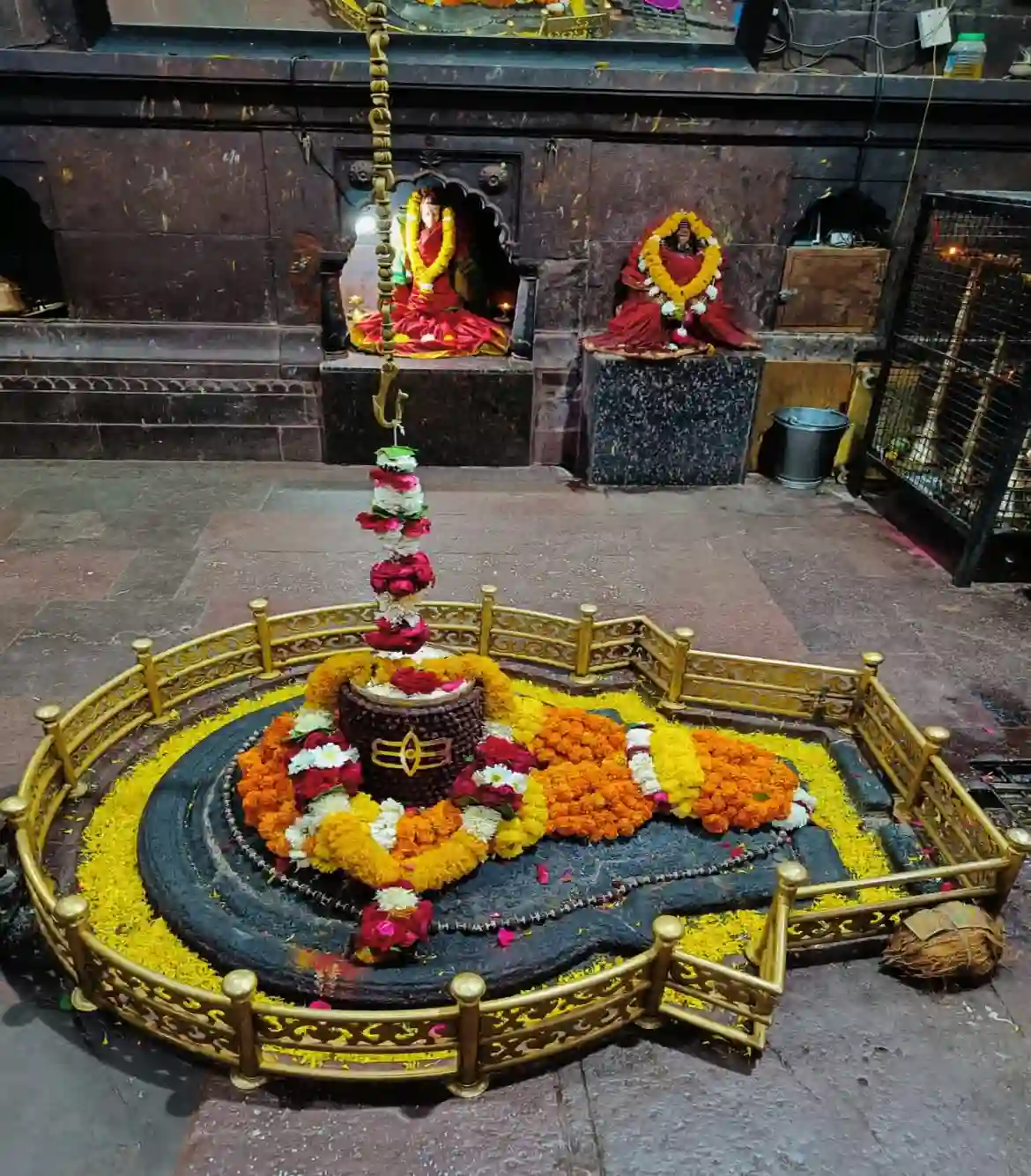 Maharashtra Jyotirling with Shirdi Package